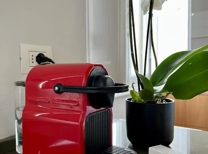 帕拉佐布鲁奇住宿加早餐旅馆 锡耶纳