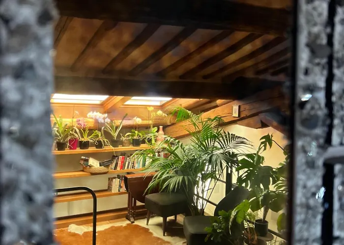 住宿加早餐酒店 帕拉佐布鲁奇住宿加早餐旅馆 3*