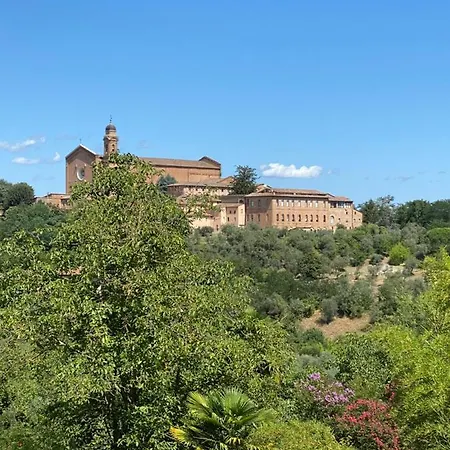 Bed & Breakfast Palazzo Bruchi *