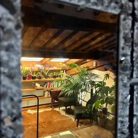 住宿加早餐酒店 帕拉佐布鲁奇住宿加早餐旅馆 *