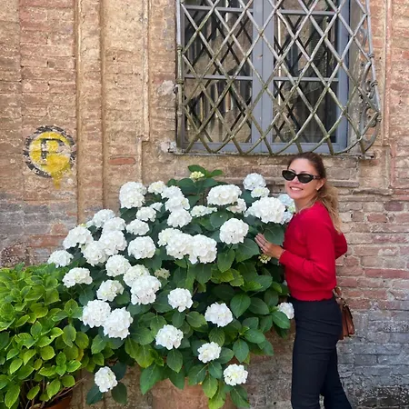 Palazzo Bruchi 3*