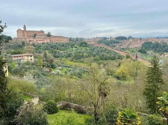 Bed & Breakfast Palazzo Bruchi 3*